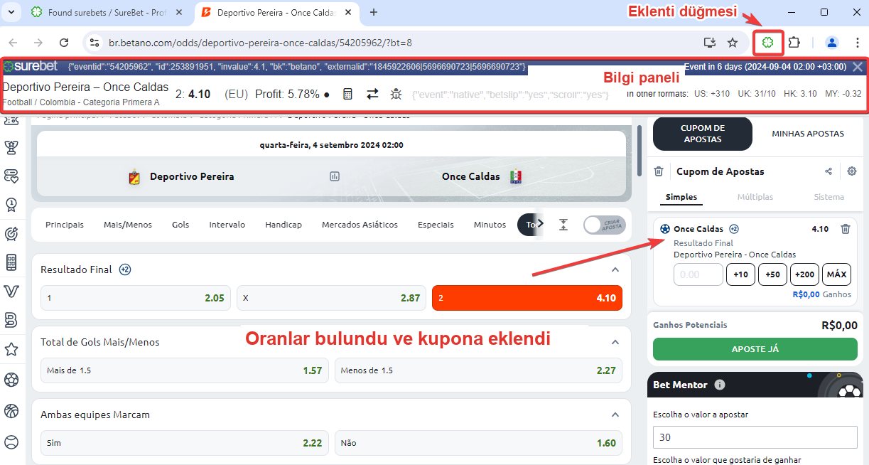 Uzantı açıklama ekranı